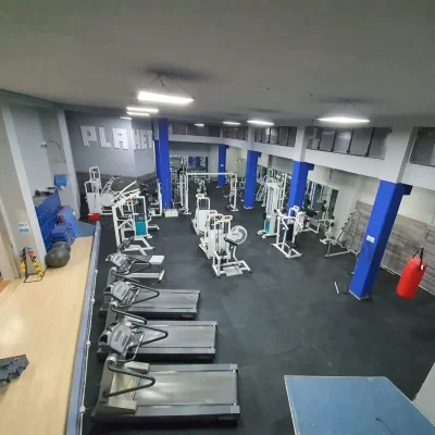 apf_14